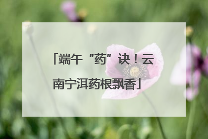 端午“药”诀！云南宁洱药根飘香