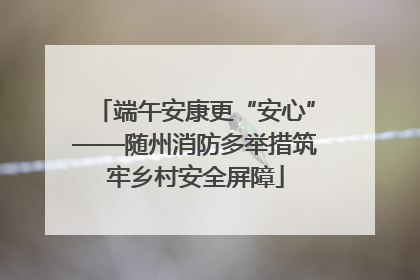 端午安康更“安心”——随州消防多举措筑牢乡村安全屏障