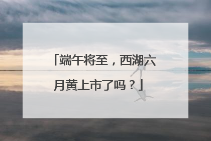 端午将至，西湖六月黄上市了吗？