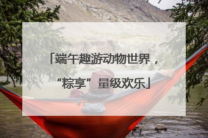 端午趣游动物世界，“粽享”量级欢乐