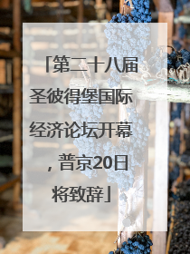 第二十八届圣彼得堡国际经济论坛开幕，普京20日将致辞