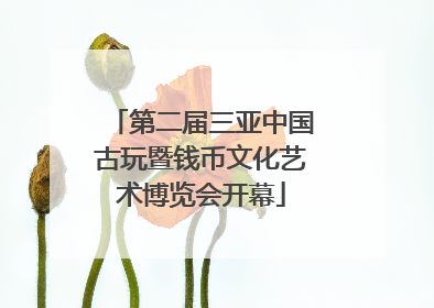第二届三亚中国古玩暨钱币文化艺术博览会开幕