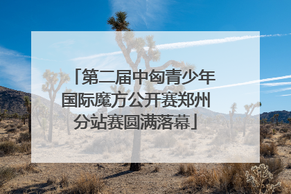 第二届中匈青少年国际魔方公开赛郑州分站赛圆满落幕