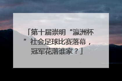第十届崇明“瀛洲杯”社会足球比赛落幕，冠军花落谁家？