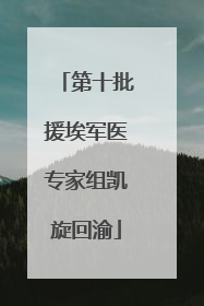 第十批援埃军医专家组凯旋回渝