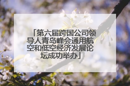 第六届跨国公司领导人青岛峰会通用航空和低空经济发展论坛成功举办