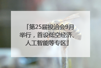 第25届投洽会9月举行，首设低空经济、人工智能等专区