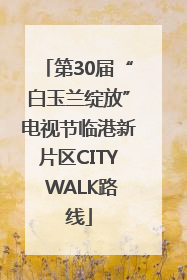 第30届“白玉兰绽放”电视节临港新片区CITY WALK路线