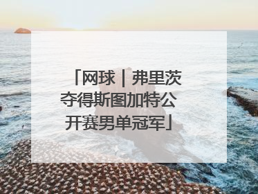 网球｜弗里茨夺得斯图加特公开赛男单冠军