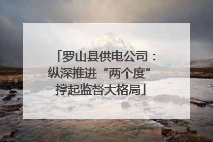 罗山县供电公司：纵深推进“两个度” 撑起监督大格局