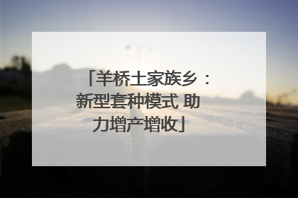羊桥土家族乡：新型套种模式 助力增产增收