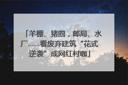 羊棚、猪圈，邮局、水厂……看废弃建筑“花式逆袭”成网红村咖