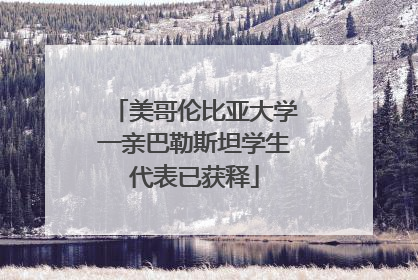 美哥伦比亚大学一亲巴勒斯坦学生代表已获释