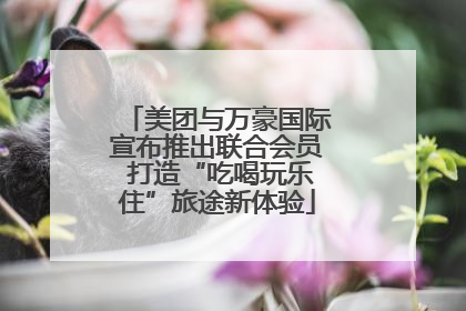 美团与万豪国际宣布推出联合会员 打造“吃喝玩乐住”旅途新体验