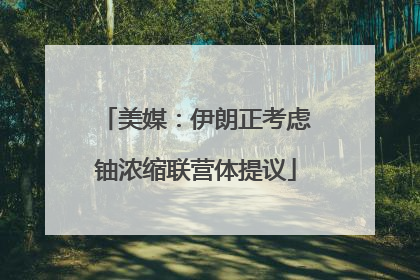 美媒：伊朗正考虑铀浓缩联营体提议