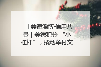 美德淄博·信用八景｜美德积分 “小杠杆”，撬动牟村文明 “大能量”