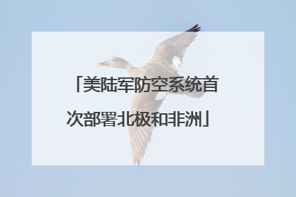 美陆军防空系统首次部署北极和非洲