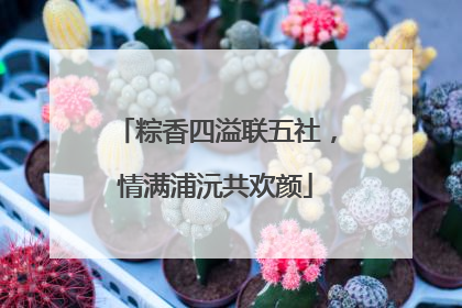 粽香四溢联五社，情满浦沅共欢颜