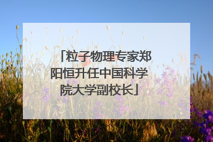粒子物理专家郑阳恒升任中国科学院大学副校长