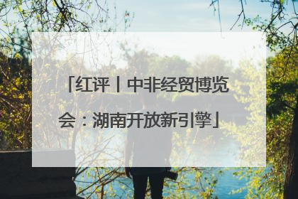 红评丨中非经贸博览会：湖南开放新引擎