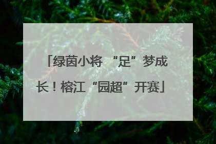 绿茵小将 “足”梦成长！榕江“园超”开赛