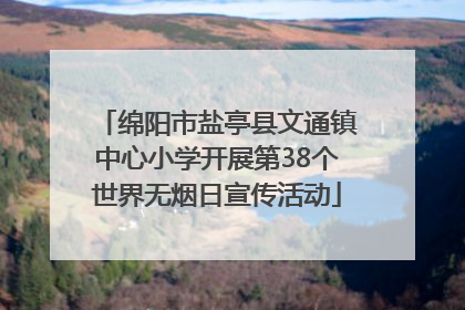 绵阳市盐亭县文通镇中心小学开展第38个世界无烟日宣传活动