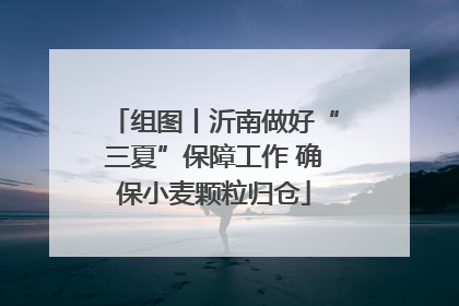 组图丨沂南做好“三夏”保障工作 确保小麦颗粒归仓
