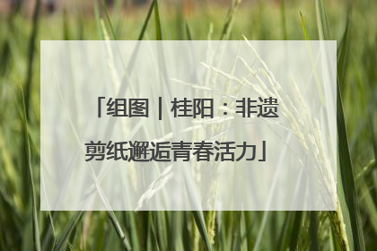 组图｜桂阳：非遗剪纸邂逅青春活力