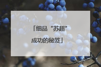 细品“苏超”成功的秘笈