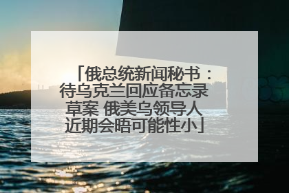 俄总统新闻秘书：待乌克兰回应备忘录草案 俄美乌领导人近期会晤可能性小