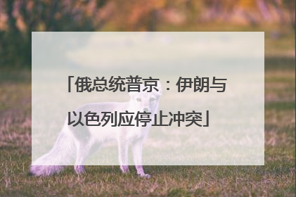俄总统普京：伊朗与以色列应停止冲突