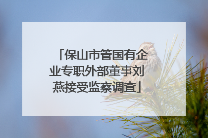 保山市管国有企业专职外部董事刘燕接受监察调查