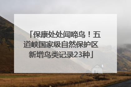 保康处处闻啼鸟！五道峡国家级自然保护区新增鸟类记录23种