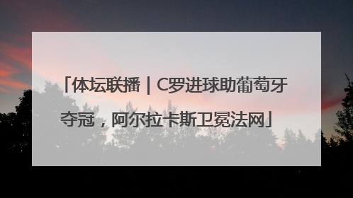 体坛联播｜C罗进球助葡萄牙夺冠，阿尔拉卡斯卫冕法网