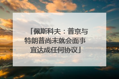 佩斯科夫：普京与特朗普尚未就会面事宜达成任何协议