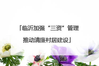 临沂加强“三资”管理 推动清廉村居建设