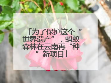 为了保护这个“世界遗产”，蚂蚁森林在云南再“种”新项目