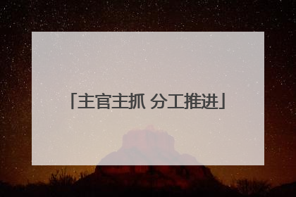 主官主抓 分工推进