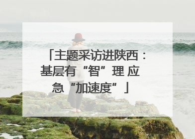 主题采访进陕西：基层有“智”理 应急“加速度”