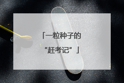 一粒种子的“赶考记”