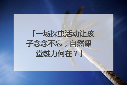 一场探虫活动让孩子念念不忘，自然课堂魅力何在？