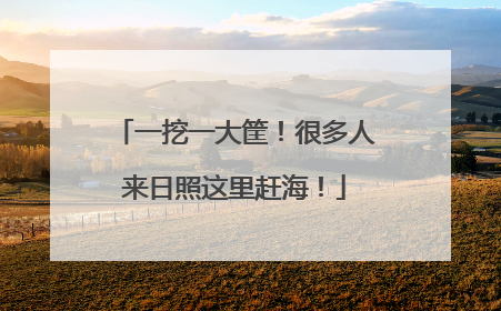 一挖一大筐！很多人来日照这里赶海！