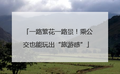一路繁花一路景！乘公交也能玩出“旅游感”