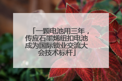 一颗电池用三年，传应石墨烯纽扣电池成为国际锁业交流大会技术标杆