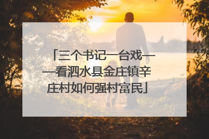 三个书记一台戏——看泗水县金庄镇辛庄村如何强村富民