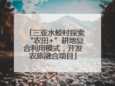 三亚水蛟村探索“农田+”耕地复合利用模式，开发农旅融合项目