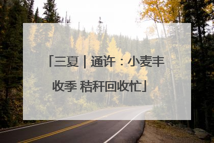 三夏｜通许：小麦丰收季 秸秆回收忙