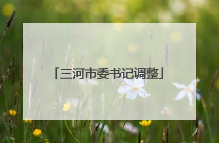 三河市委书记调整