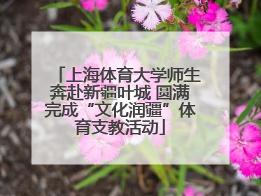 上海体育大学师生奔赴新疆叶城 圆满完成“文化润疆”体育支教活动