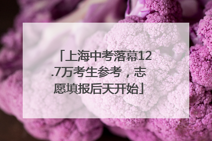 上海中考落幕12.7万考生参考，志愿填报后天开始